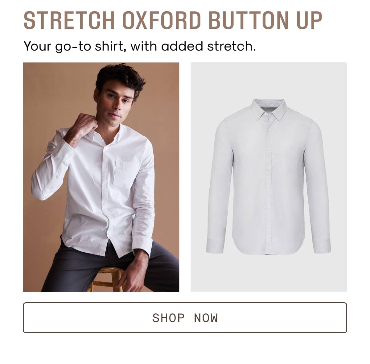 Stretch Oxford